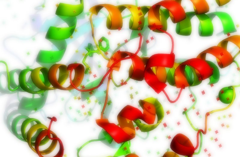 abstracted illustration of protein molecules